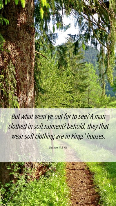 Picture 06 - Matthew 11:8 KJV Mobile Phone Wallpaper - But what went ye out for to see? A man clothed in - Mobile Bible Verse Wallpaper