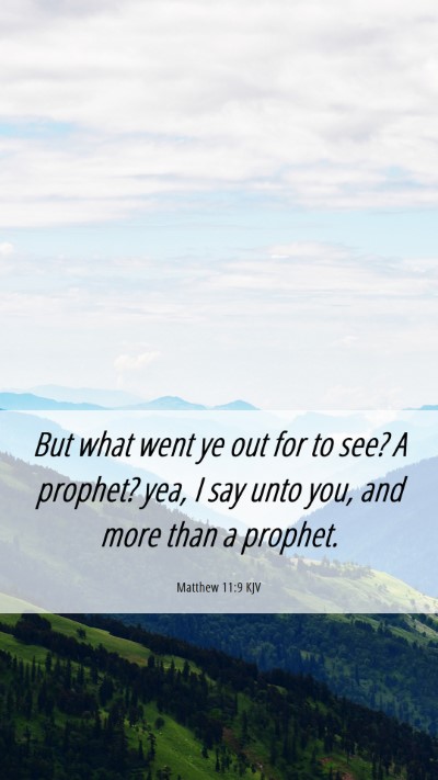 Picture 06 - Matthew 11:9 KJV Mobile Phone Wallpaper - But what went ye out for to see? A prophet? yea, - Mobile Bible Verse Wallpaper
