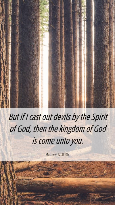 Picture 06 - Matthew 12:28 KJV Mobile Phone Wallpaper - But if I cast out devils by the Spirit of God, - Mobile Bible Verse Wallpaper
