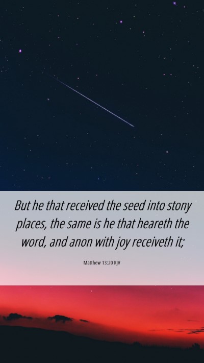 Picture 06 - Matthew 13:20 KJV Mobile Phone Wallpaper - But he that received the seed into stony places, - Mobile Bible Verse Wallpaper