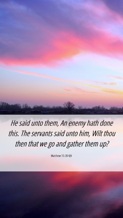 Picture 06 - Matthew 13:28 KJV Mobile Phone Wallpaper - He said unto them, An enemy hath done this. The - Mobile Bible Verse Wallpaper