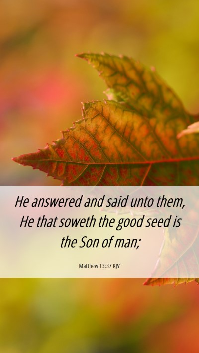 Picture 06 - Matthew 13:37 KJV Mobile Phone Wallpaper - He answered and said unto them, He that soweth - Mobile Bible Verse Wallpaper