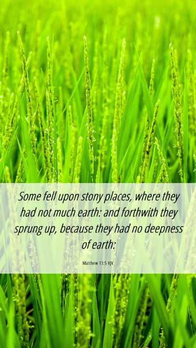 Picture 06 - Matthew 13:5 KJV Mobile Phone Wallpaper - Some fell upon stony places, where they had not - Mobile Bible Verse Wallpaper