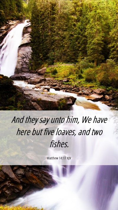 Picture 06 - Matthew 14:17 KJV Mobile Phone Wallpaper - And they say unto him, We have here but five - Mobile Bible Verse Wallpaper