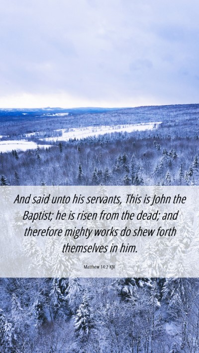 Picture 06 - Matthew 14:2 KJV Mobile Phone Wallpaper - And said unto his servants, This is John the - Mobile Bible Verse Wallpaper