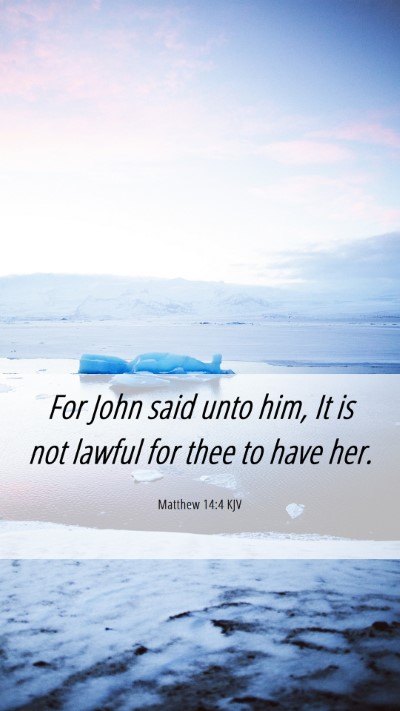 Picture 06 - Matthew 14:4 KJV Mobile Phone Wallpaper - For John said unto him, It is not lawful for thee - Mobile Bible Verse Wallpaper