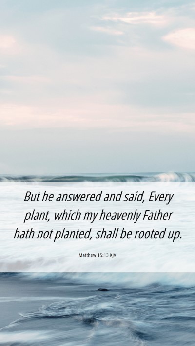 Picture 06 - Matthew 15:13 KJV Mobile Phone Wallpaper - But he answered and said, Every plant, which my - Mobile Bible Verse Wallpaper