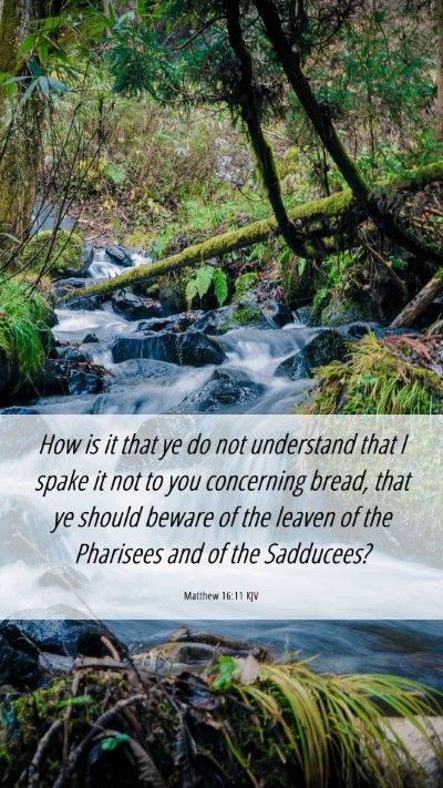 Picture 06 - Matthew 16:11 KJV Mobile Phone Wallpaper - How is it that ye do not understand that I spake - Mobile Bible Verse Wallpaper