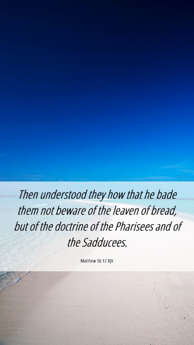 Picture 06 - Matthew 16:12 KJV Mobile Phone Wallpaper - Then understood they how that he bade them not - Mobile Bible Verse Wallpaper