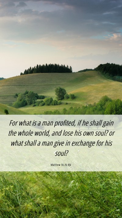 Picture 06 - Matthew 16:26 KJV Mobile Phone Wallpaper - For what is a man profited, if he shall gain the - Mobile Bible Verse Wallpaper