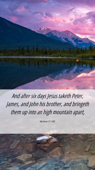 Picture 06 - Matthew 17:1 KJV Mobile Phone Wallpaper - And after six days Jesus taketh Peter, James, and - Mobile Bible Verse Wallpaper