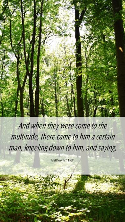 Picture 06 - Matthew 17:14 KJV Mobile Phone Wallpaper - And when they were come to the multitude, there - Mobile Bible Verse Wallpaper