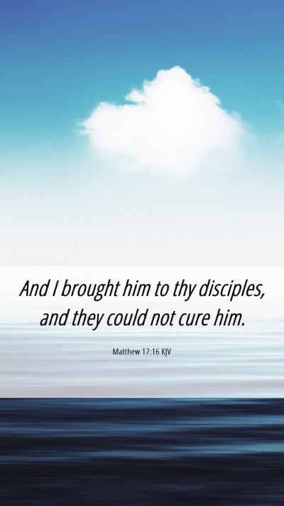 Picture 06 - Matthew 17:16 KJV Mobile Phone Wallpaper - And I brought him to thy disciples, and they - Mobile Bible Verse Wallpaper