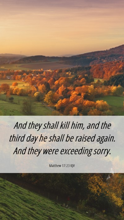Picture 06 - Matthew 17:23 KJV Mobile Phone Wallpaper - And they shall kill him, and the third day he - Mobile Bible Verse Wallpaper