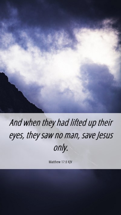 Picture 06 - Matthew 17:8 KJV Mobile Phone Wallpaper - And when they had lifted up their eyes, they saw - Mobile Bible Verse Wallpaper