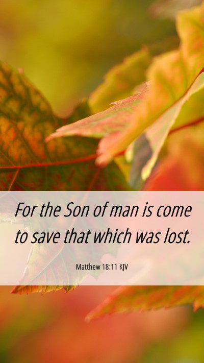 Picture 06 - Matthew 18:11 KJV Mobile Phone Wallpaper - For the Son of man is come to save that which was - Mobile Bible Verse Wallpaper