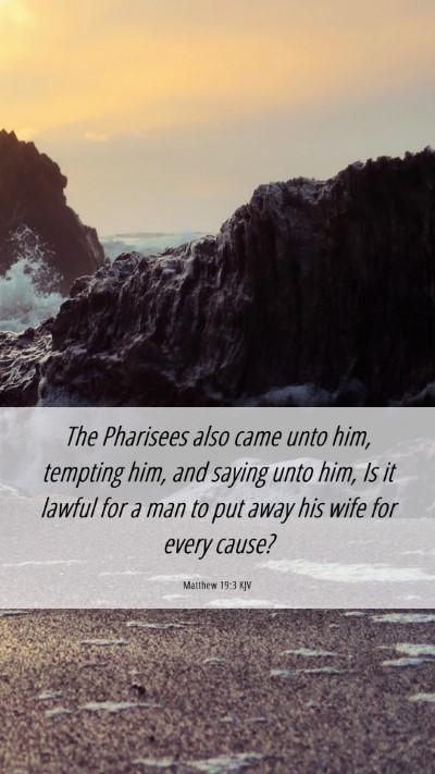 Picture 06 - Matthew 19:3 KJV Mobile Phone Wallpaper - The Pharisees also came unto him, tempting him, - Mobile Bible Verse Wallpaper