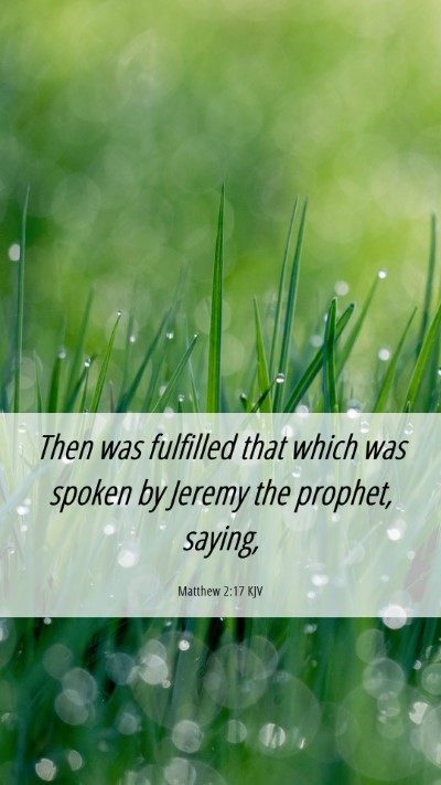 Picture 06 - Matthew 2:17 KJV Mobile Phone Wallpaper - Then was fulfilled that which was spoken by - Mobile Bible Verse Wallpaper
