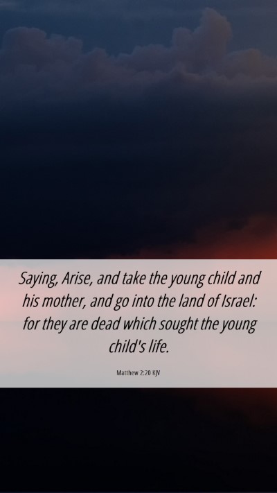 Picture 06 - Matthew 2:20 KJV Mobile Phone Wallpaper - Saying, Arise, and take the young child and his - Mobile Bible Verse Wallpaper