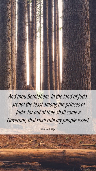 Picture 06 - Matthew 2:6 KJV Mobile Phone Wallpaper - And thou Bethlehem, in the land of Juda, art not - Mobile Bible Verse Wallpaper