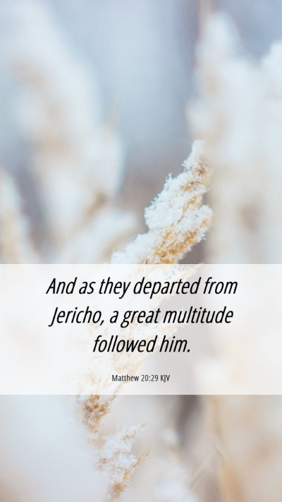 Picture 06 - Matthew 20:29 KJV Mobile Phone Wallpaper - And as they departed from Jericho, a great - Mobile Bible Verse Wallpaper