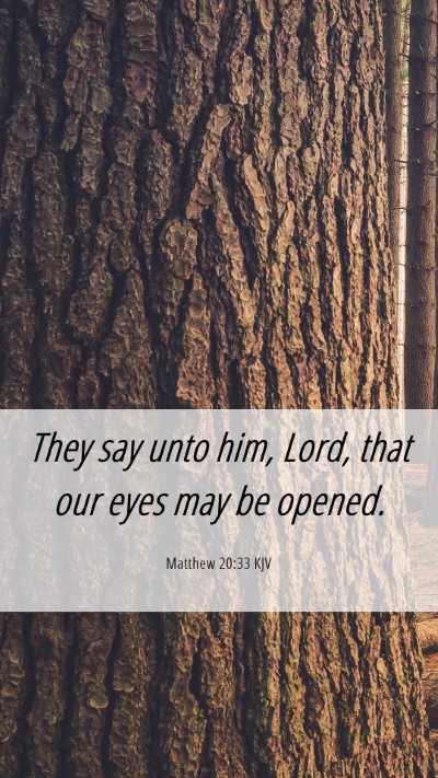 Picture 06 - Matthew 20:33 KJV Mobile Phone Wallpaper - They say unto him, Lord, that our eyes may be - Mobile Bible Verse Wallpaper