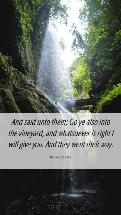 Picture 06 - Matthew 20:4 KJV Mobile Phone Wallpaper - And said unto them; Go ye also into the vineyard, - Mobile Bible Verse Wallpaper