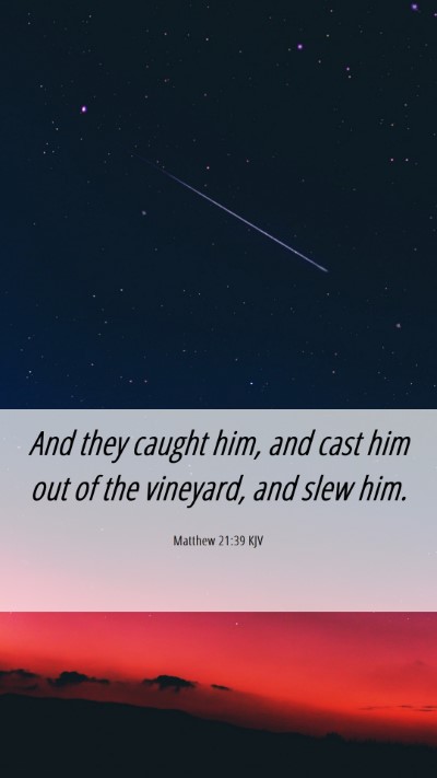 Picture 06 - Matthew 21:39 KJV Mobile Phone Wallpaper - And they caught him, and cast him out of the - Mobile Bible Verse Wallpaper