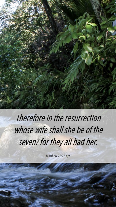 Picture 06 - Matthew 22:28 KJV Mobile Phone Wallpaper - Therefore in the resurrection whose wife shall - Mobile Bible Verse Wallpaper