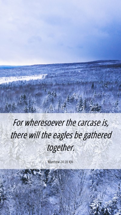 Picture 06 - Matthew 24:28 KJV Mobile Phone Wallpaper - For wheresoever the carcase is, there will the - Mobile Bible Verse Wallpaper