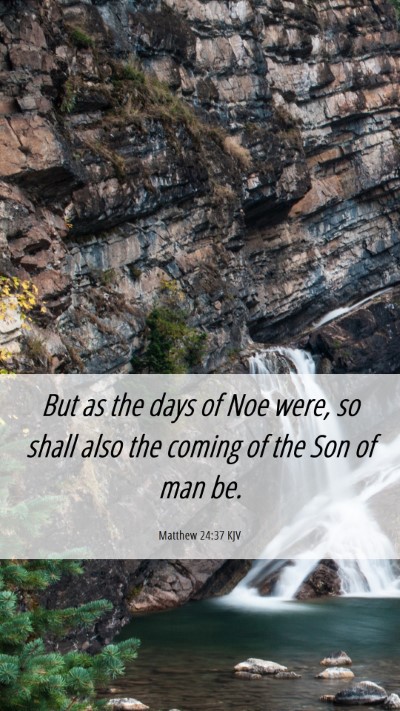Picture 06 - Matthew 24:37 KJV Mobile Phone Wallpaper - But as the days of Noe were, so shall also the - Mobile Bible Verse Wallpaper