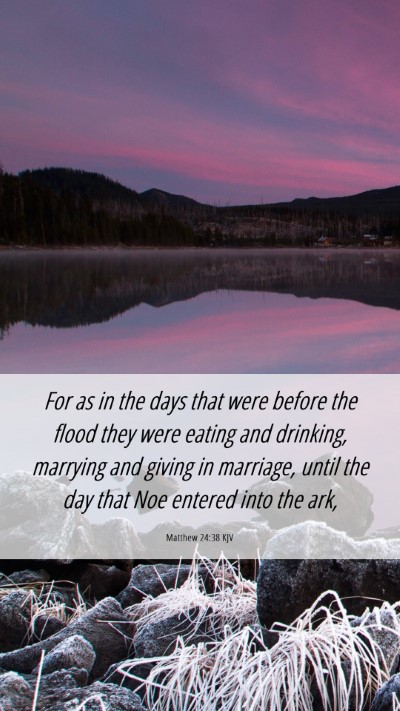Picture 06 - Matthew 24:38 KJV Mobile Phone Wallpaper - For as in the days that were before the flood - Mobile Bible Verse Wallpaper