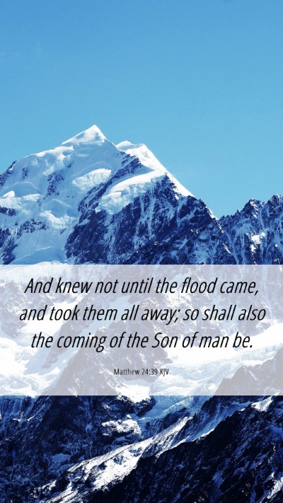 Picture 06 - Matthew 24:39 KJV Mobile Phone Wallpaper - And knew not until the flood came, and took them - Mobile Bible Verse Wallpaper
