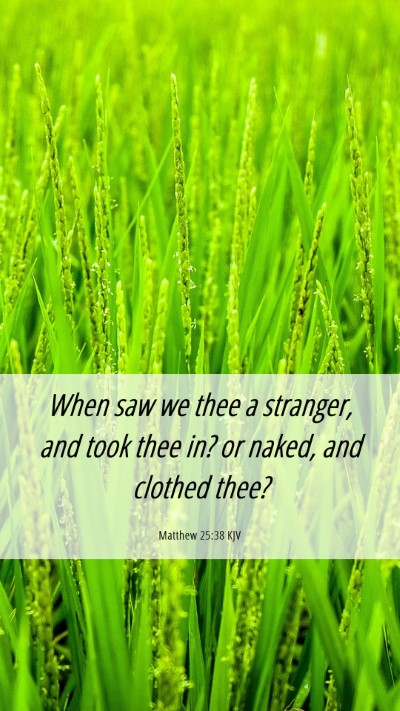 Picture 06 - Matthew 25:38 KJV Mobile Phone Wallpaper - When saw we thee a stranger, and took thee in? or - Mobile Bible Verse Wallpaper
