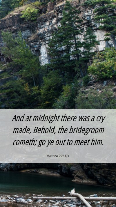 Picture 06 - Matthew 25:6 KJV Mobile Phone Wallpaper - And at midnight there was a cry made, Behold, the - Mobile Bible Verse Wallpaper