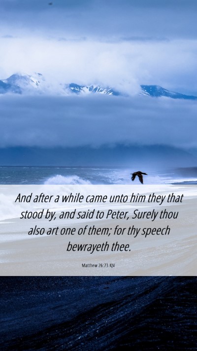 Picture 06 - Matthew 26:73 KJV Mobile Phone Wallpaper - And after a while came unto him they that stood - Mobile Bible Verse Wallpaper