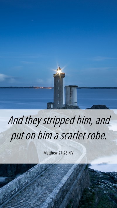 Picture 06 - Matthew 27:28 KJV Mobile Phone Wallpaper - And they stripped him, and put on him a scarlet - Mobile Bible Verse Wallpaper