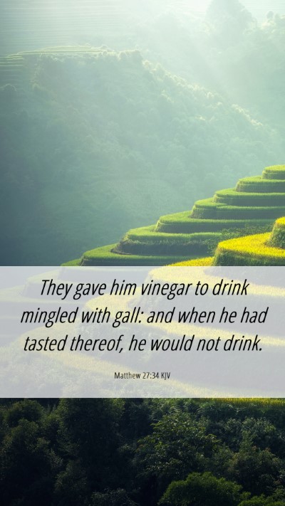 Picture 06 - Matthew 27:34 KJV Mobile Phone Wallpaper - They gave him vinegar to drink mingled with gall: - Mobile Bible Verse Wallpaper