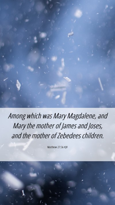Picture 06 - Matthew 27:56 KJV Mobile Phone Wallpaper - Among which was Mary Magdalene, and Mary the - Mobile Bible Verse Wallpaper