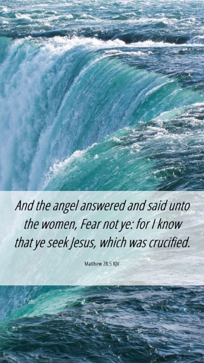 Picture 06 - Matthew 28:5 KJV Mobile Phone Wallpaper - And the angel answered and said unto the women, - Mobile Bible Verse Wallpaper