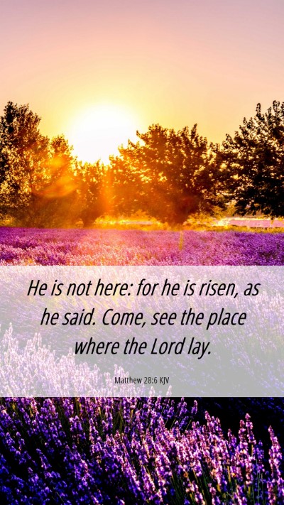 Picture 06 - Matthew 28:6 KJV Mobile Phone Wallpaper - He is not here: for he is risen, as he said. - Mobile Bible Verse Wallpaper