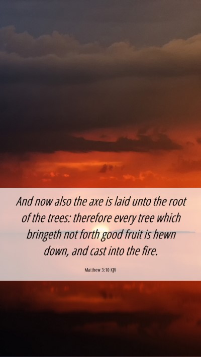 Picture 06 - Matthew 3:10 KJV Mobile Phone Wallpaper - And now also the axe is laid unto the root of the - Mobile Bible Verse Wallpaper