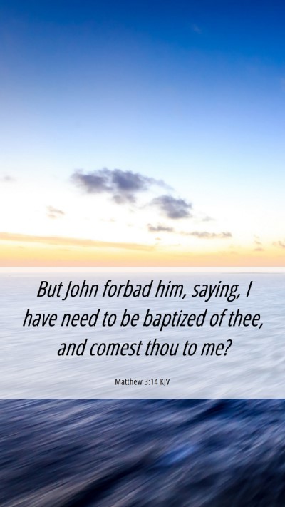 Picture 06 - Matthew 3:14 KJV Mobile Phone Wallpaper - But John forbad him, saying, I have need to be - Mobile Bible Verse Wallpaper