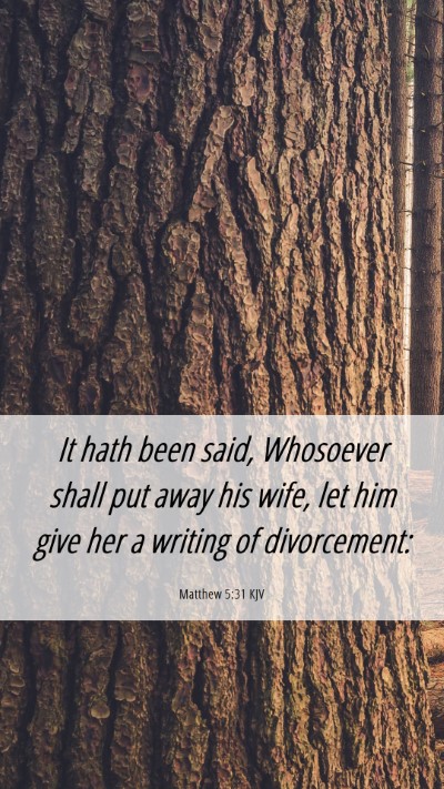 Picture 06 - Matthew 5:31 KJV Mobile Phone Wallpaper - It hath been said, Whosoever shall put away his - Mobile Bible Verse Wallpaper