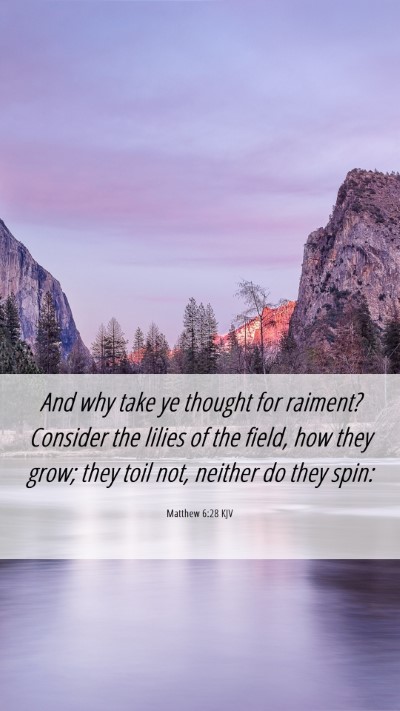 Picture 06 - Matthew 6:28 KJV Mobile Phone Wallpaper - And why take ye thought for raiment? Consider the - Mobile Bible Verse Wallpaper