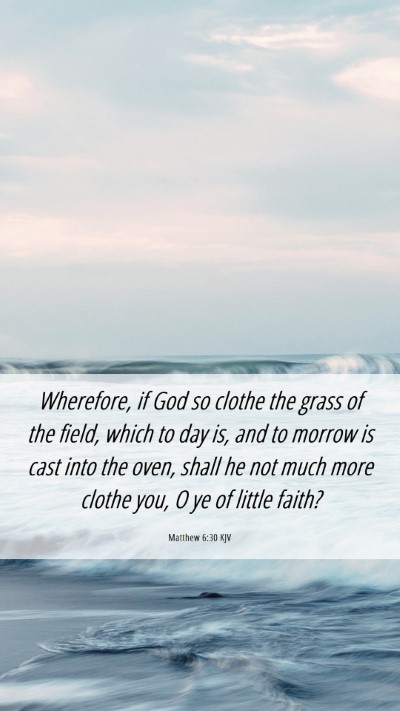 Picture 06 - Matthew 6:30 KJV Mobile Phone Wallpaper - Wherefore, if God so clothe the grass of the - Mobile Bible Verse Wallpaper