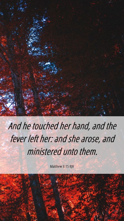 Picture 06 - Matthew 8:15 KJV Mobile Phone Wallpaper - And he touched her hand, and the fever left her: - Mobile Bible Verse Wallpaper