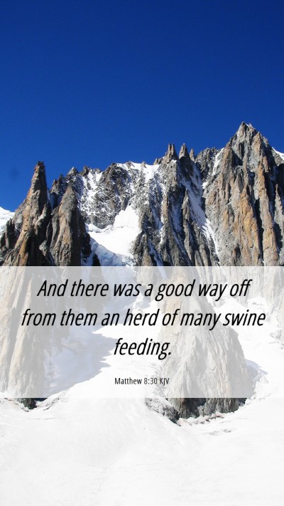 Picture 06 - Matthew 8:30 KJV Mobile Phone Wallpaper - And there was a good way off from them an herd of - Mobile Bible Verse Wallpaper