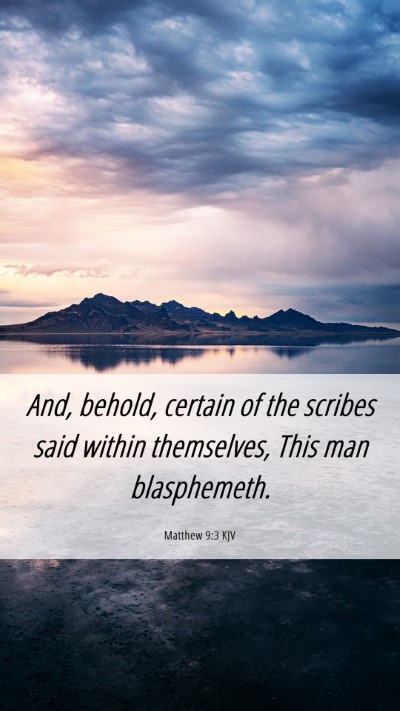 Picture 06 - Matthew 9:3 KJV Mobile Phone Wallpaper - And, behold, certain of the scribes said within - Mobile Bible Verse Wallpaper