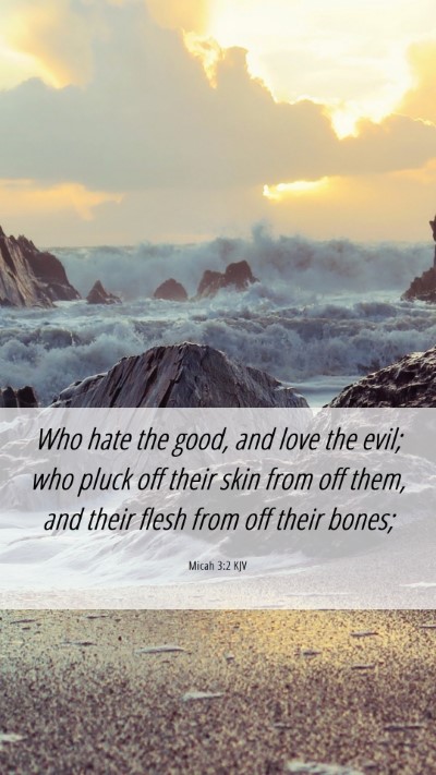 Picture 06 - Micah 3:2 KJV Mobile Phone Wallpaper - Who hate the good, and love the evil; who pluck - Mobile Bible Verse Wallpaper